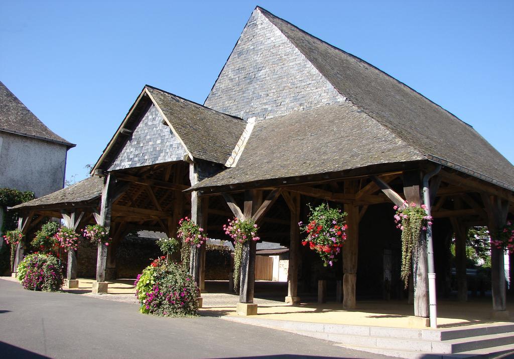Готель Le Relais De La Caleche Saint-Denis-d'Anjou Екстер'єр фото