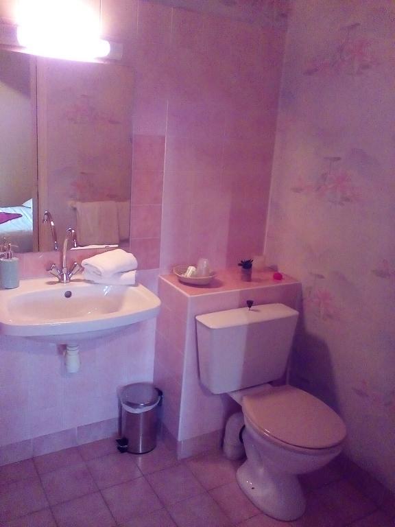 Готель Le Relais De La Caleche Saint-Denis-d'Anjou Екстер'єр фото